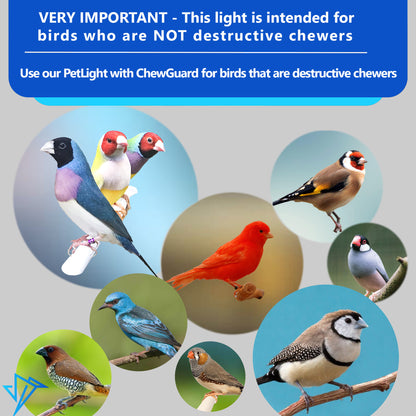 PetLight for soft billed birds